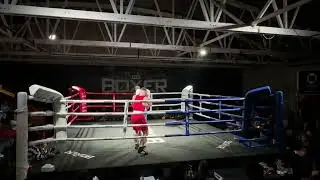 Auckland fight night