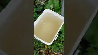 An Augusta, Wisconsin Amish farmer demonstrating impact of frac sand mining on his well water