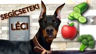 Ollie kóstol 🐶🥦 | Nem hittem, hogy ezt szereti...