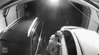 Laureldale Police Seek to Identify Auto Theft Suspect
