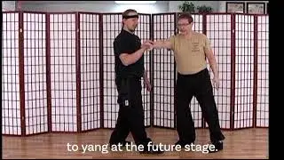 Tai Chi Pushing Hands with Intent, Level 1