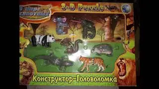 Rainforest Animal 4D Puzzle Boxset