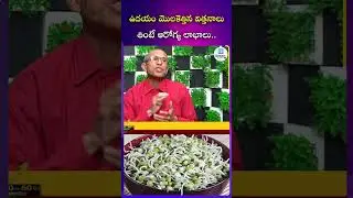 ఉదయం మొలకెత్తిన విత్తనాలు తింటే ఆరోగ్య లాభాలు | #sprouts #healttips | iDream Health Plus
