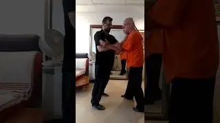 Wing Chun Arm Conditioning (Part 2)