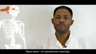 HEALTHY SPINE | Здоровый ПОЗВОНОЧНИК @drcollinsmethod #Докторколлинс   #Афромассаж #drcollinsmoscow