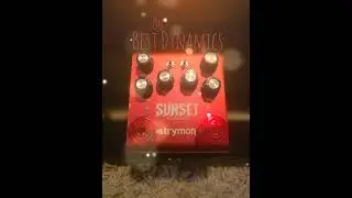 STRYMON SUNSET OVERDRIVE⚡️Best Dynamic Overdrive Ever⚡️@strymon @fender #strymon #overdrive