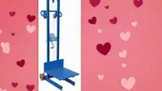 T✿P T&sup3;n Best Material Lifting Equipment