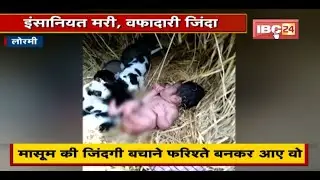 जब इंसानियत मरी और वफादारी जिंदा हुई | मासूम की जिंदगी बचाने फरिश्ते बनकर आए वो | देखिए पूरी Report