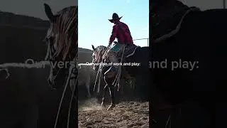 The best piece of work equipment &mdash; good horses!