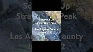 Scramble Up Strawberry Peak