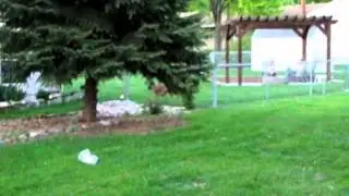 Samantha Ally Jousting