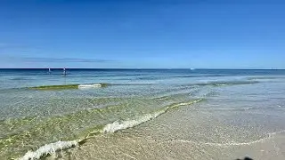 Robb's Wednesday Morning Red Tide Update for North Naples, FL 12.23.20