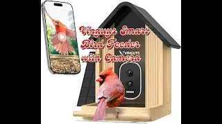 #vinguys Solar Bird Feeder Lets You Spy On Birds Anytime!