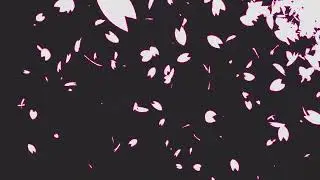 エフェクト素材・ブロッサムシャワー