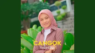 Cangok