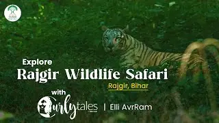 Explore Rajgir Wildlife Safari with Elli AvrRam | Curly Tales | Bihar Tourism