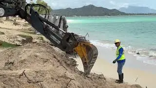 Collaborative effort aims to preserve Kailua Beach with dune restoration