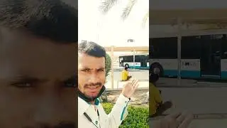 Ajman bus stand all uae bus services number one viral short videos