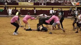 Encierro nocturno y capea en Alba de Tormes