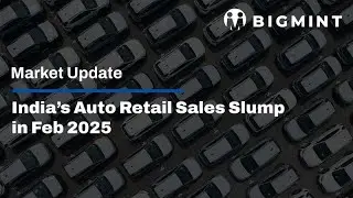 India&rsquo;s Auto Retail Sales Slump in Feb 2025 | BigMint Update