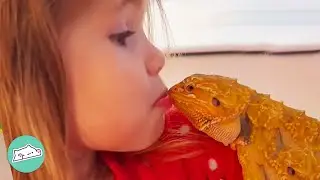 This Bearded Dragon Scares Everyone. But Girl Thinks He&rsquo;s Beautiful | Cuddle Buddies