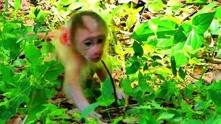 My Video 7
