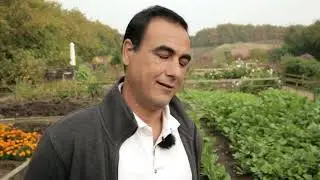 Haveforeningen Solsikken Anno 1990 del 1