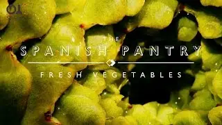 The Spanish Pantry: Fresh Vegetables