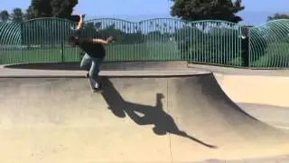 Falco For Disco Bearings