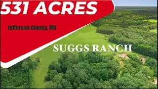 Mississippi Hunting Land - 531 Acres in Jefferson County