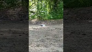 f1 grenade Pyro FX #shorts