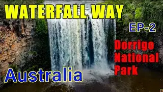 We saw amazing waterfalls - Waterfall Way, Dorrigo, NSW Australia