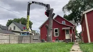Grapple Saw Truck - Backyard Walnut Removal