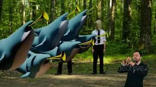 Late but with jazzy sharks