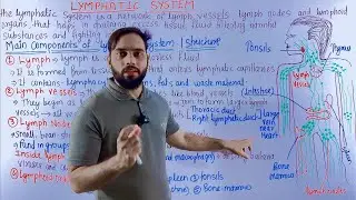 Lymphatic system  | the lymphatic system anatomy and physiology | lymphatic system detail in Hindi