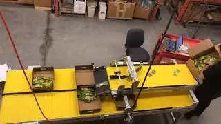 Fast Counting Box Filler - Packaging Conveyor By SmartMove&reg;