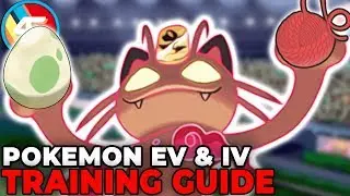 Building the BEST Pokemon Sword and Shield Competitive Team EV & IV Training Guide