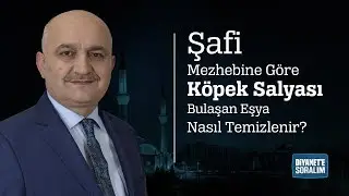 Şafi Mezhebine Göre Köpek Salyası Bulaşan Eşya Nasıl Temizlenir?