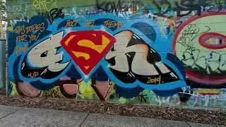 Insta360 Go 2 photo samples - Australian suburban walk