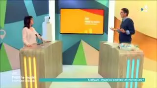 Les mutuelles pour nos animaux de compagnie, pour ou contre ?