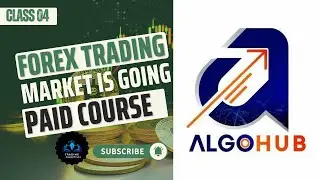 The Game Changing Difference Between Algo Hub and Traditional Trading Methods
