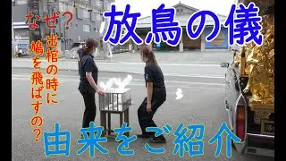 なぜ？出棺の時に鳩を飛ばすの？【放鳥の儀】をご説明致します♪