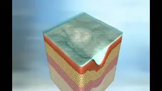 SkincerityThe Miracle Skin SoulMate