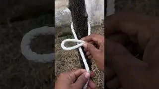 1 Knot Mostly Used In Our Everyday Life 👍#knot #rope #knottying