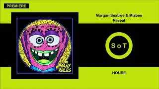 Morgan Seatree & Mizbee - Reveal (Original Mix) [PREMIERE] [House] [Too Many Rules]