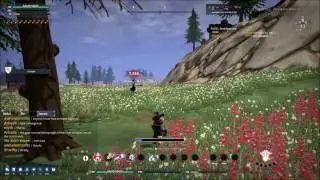 Crowfall Alpha 3.8 Duelist PvP Gameplay