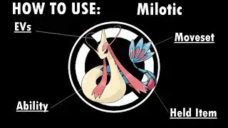 Competitive Guides- How To Use Milotic