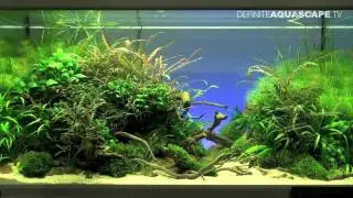 Aquascaping - The Art of the Planted Aquarium 2012, part 1