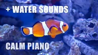 10 Hours Piano Sleep Music & Water Sounds | Aquarium Dream