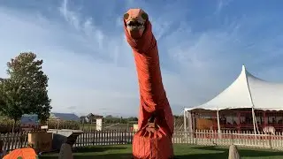 Encounter With Pumpkin Eating Dinosaur at Goebbert’s Pumpkin Farm